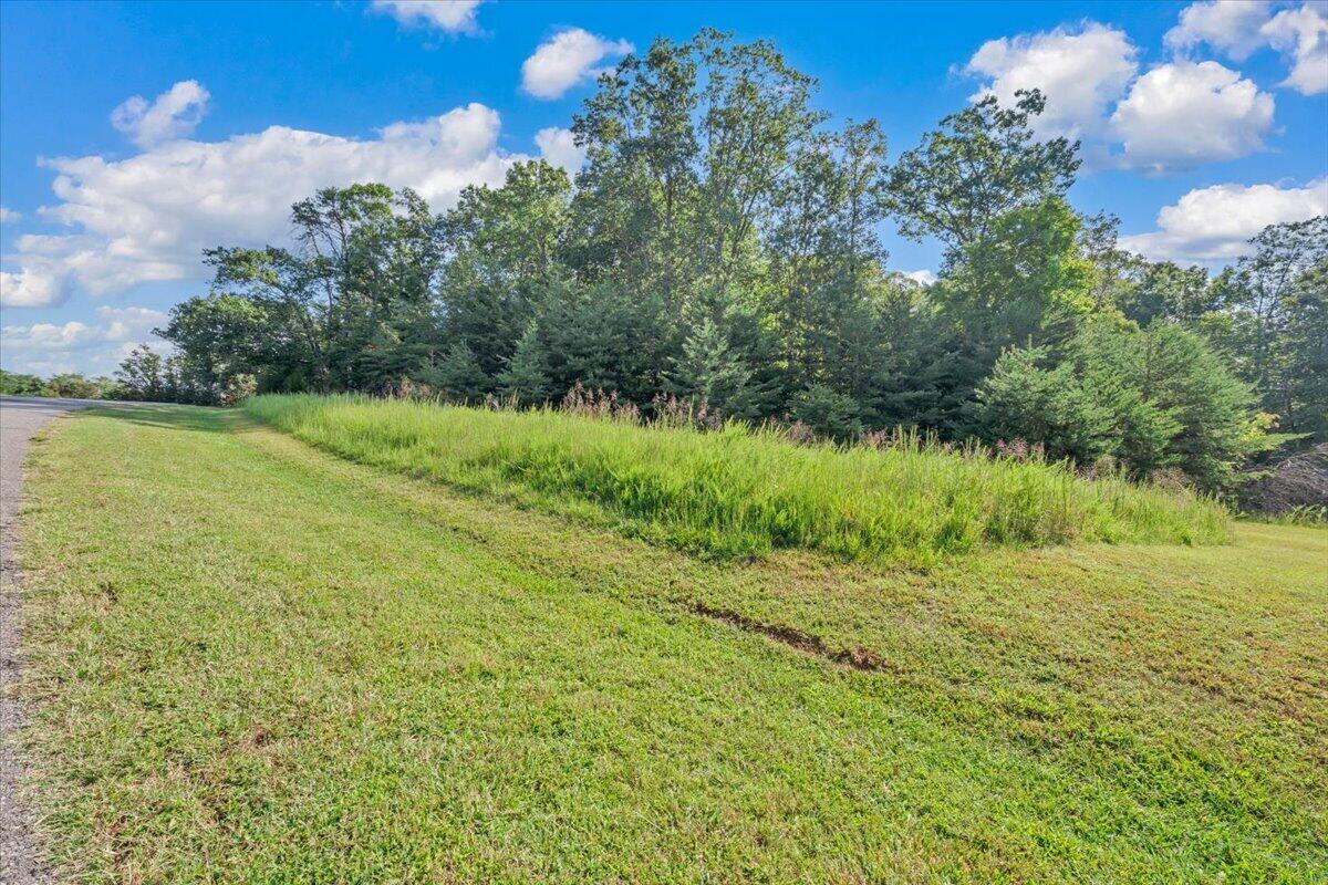 Lot 26 Palmetto Bluff Road Hardy, VA 24101 - Photo 1 of 22 21-MIB06129-R5
