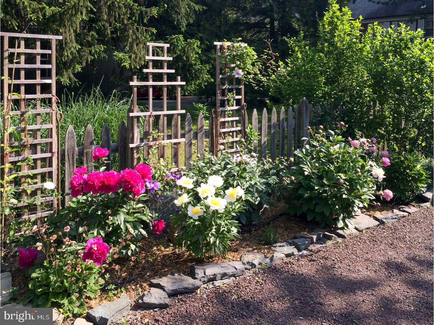 120 Jefferson Road Princeton, NJ 08540 - Photo 23 of 25 Back Yard