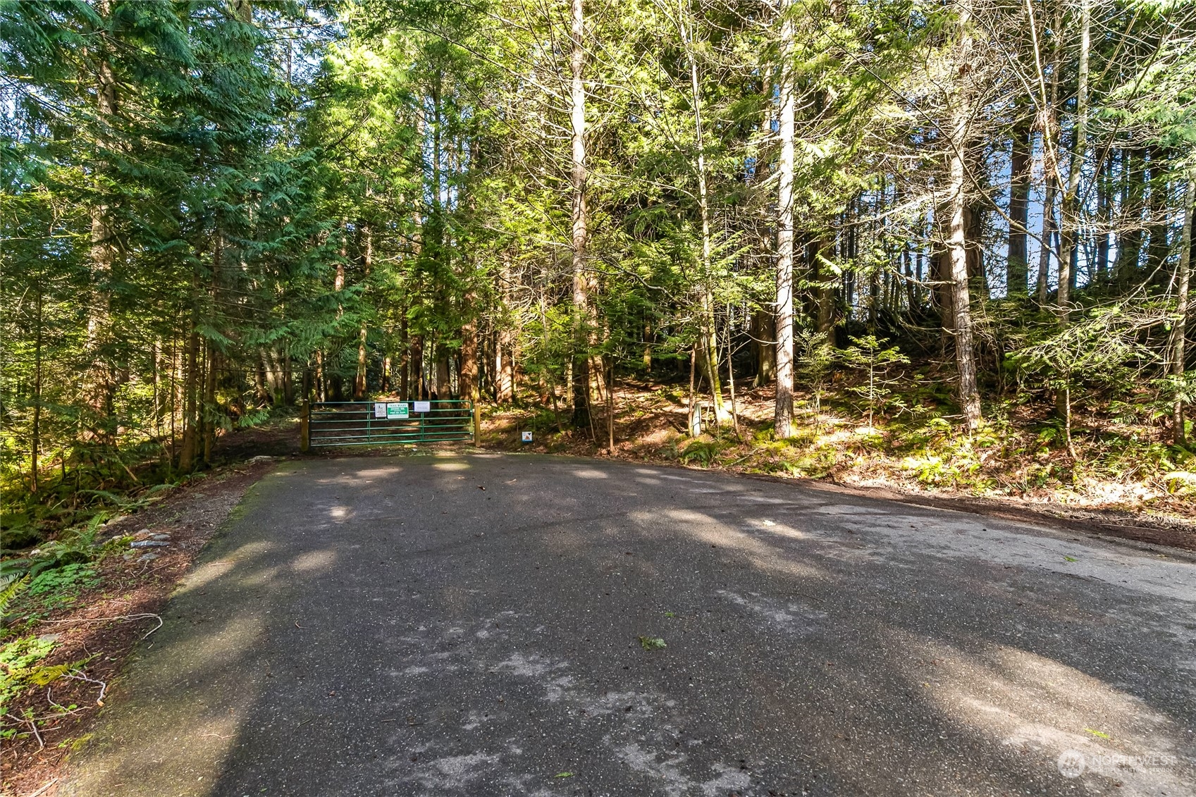 8 Topper Drive Bellingham, WA 98229 - Photo 25 of 32 a view of road with trees