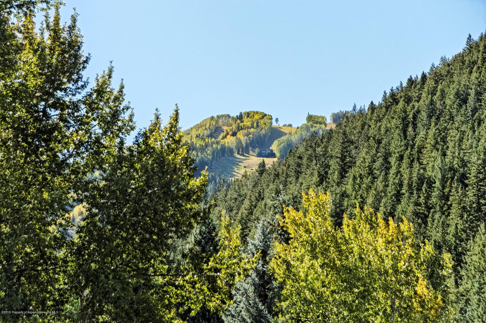501 West Main Street, Unit A106 Aspen, CO 81611 - Photo 13 of 13 a close up of a plant in a garden