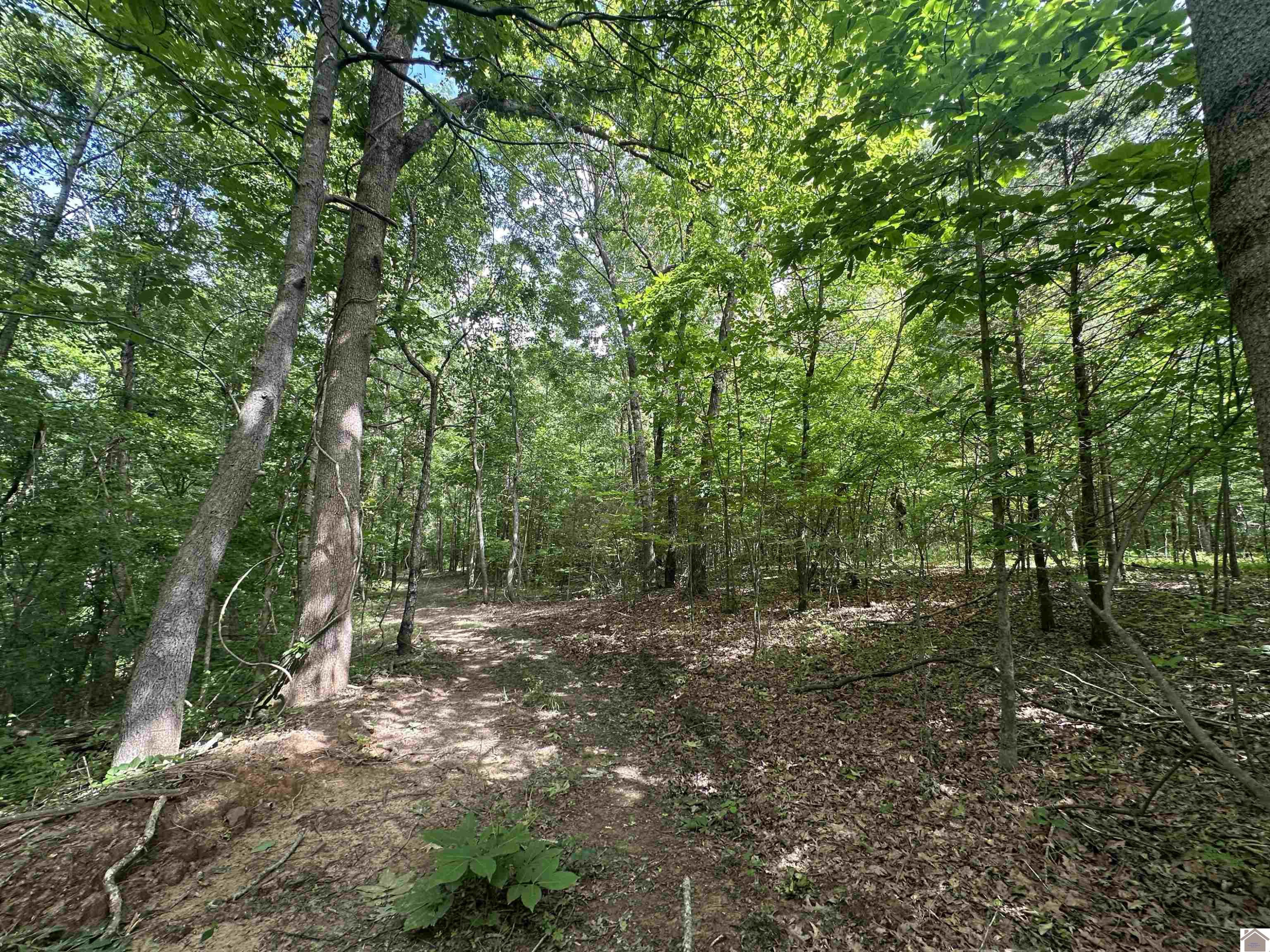 1 Timber Ridge Drive Paducah, KY 42001 - Photo 5 of 32 Photo 5