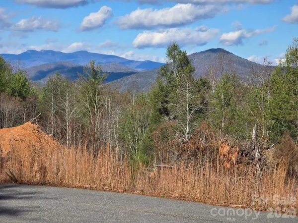 a view of a yard with mountains in the background
