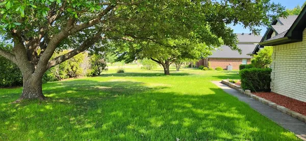a view of a backyard with large trees