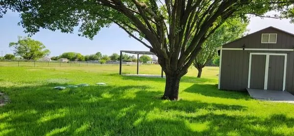 a view of yard with grass & tree