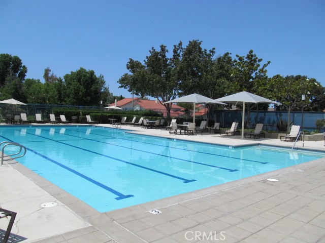 8 Bellezza Irvine, CA 92620 - Photo 31 of 39 Community Pool