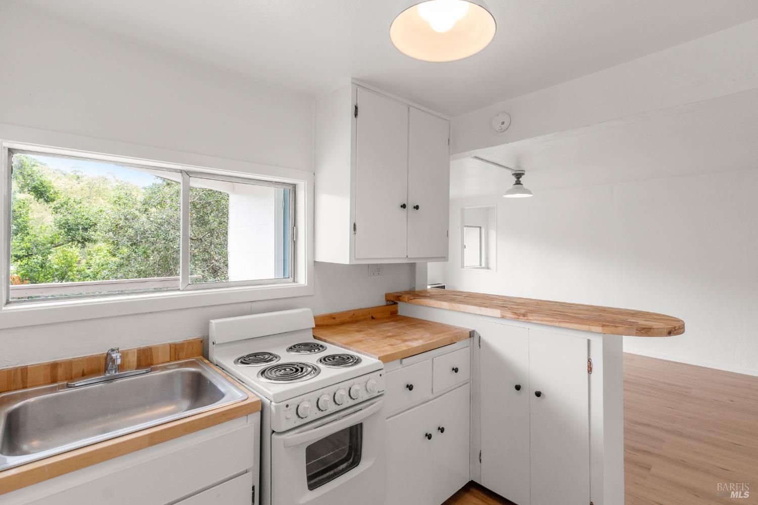 206 Bolinas Road Fairfax, CA 94930 - Photo 32 of 43
