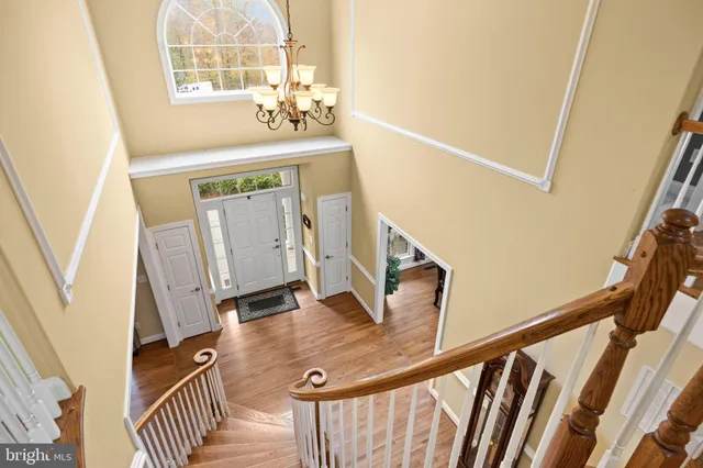 a living room with furniture a potted plant and a lamp