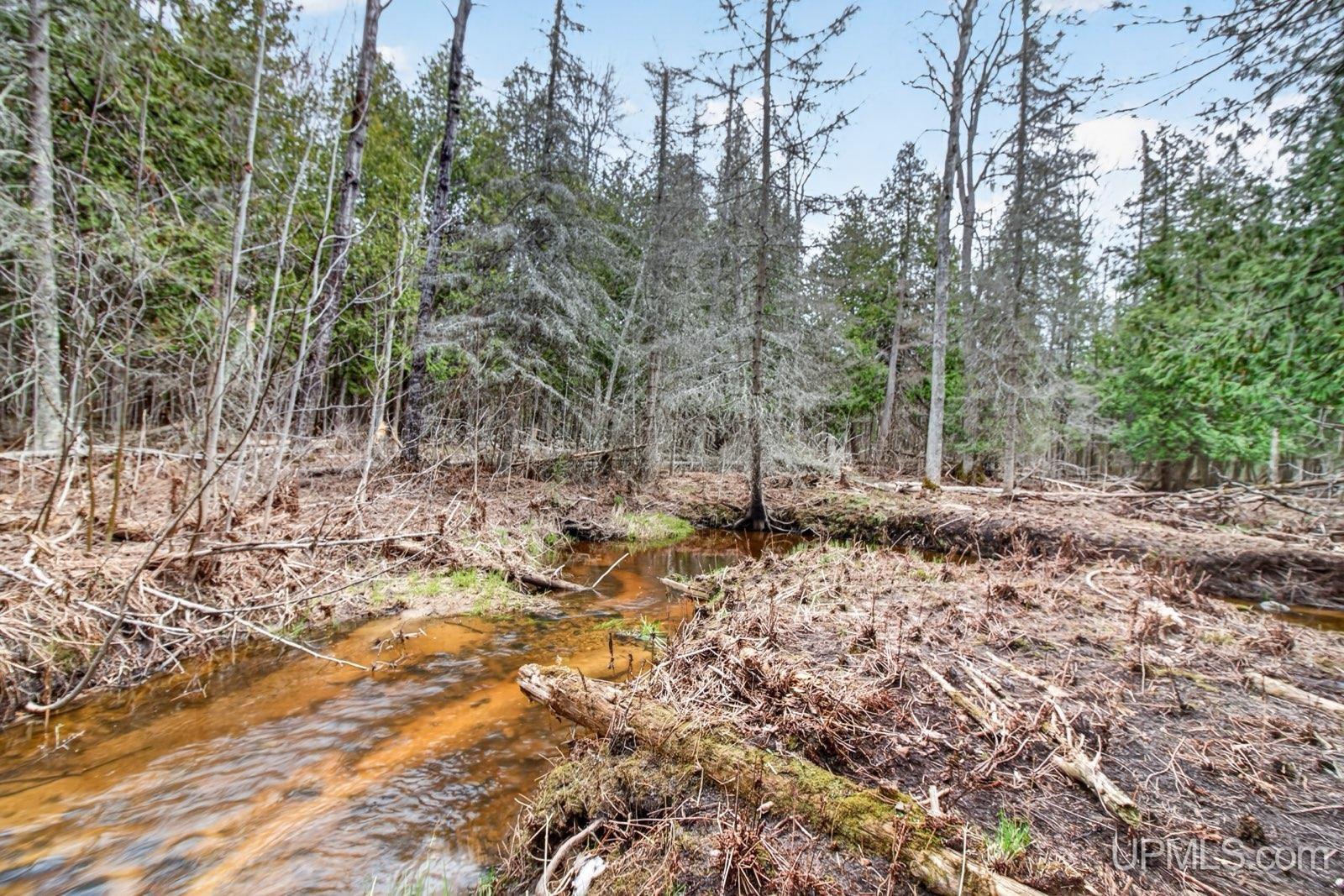 8202 County 503 CC Road Rapid River, MI 49878 - Photo 10 of 15