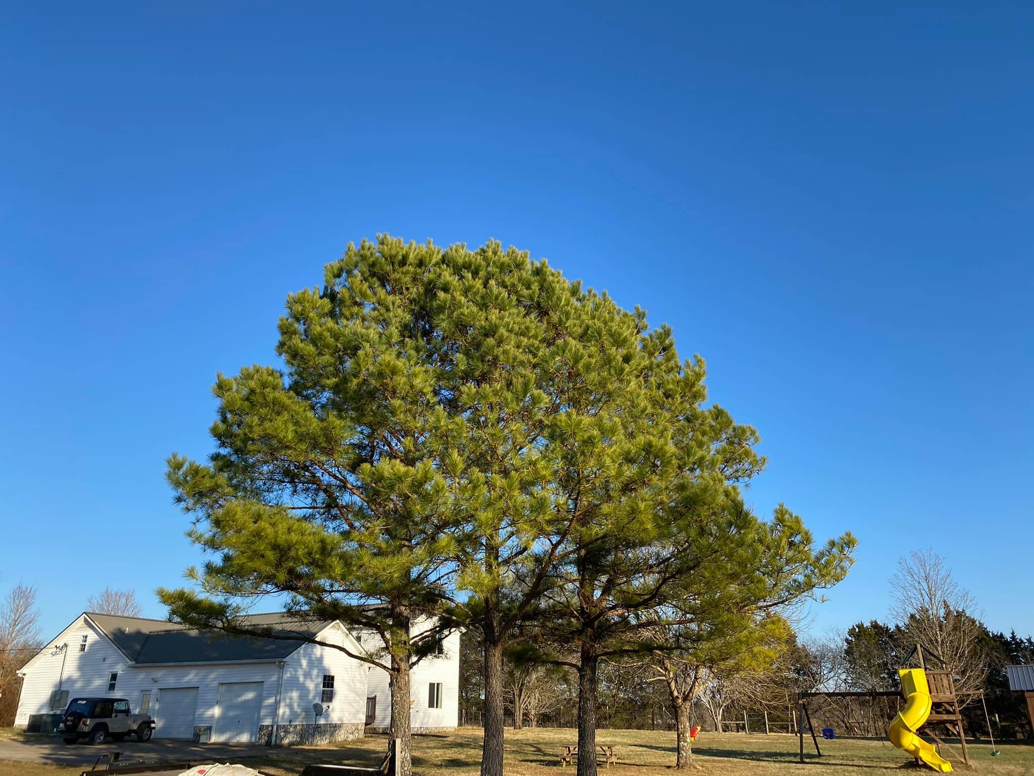 3440 Vesta Road Lebanon, TN 37090 - Photo 2 of 37 a backyard of a house with lots of green space