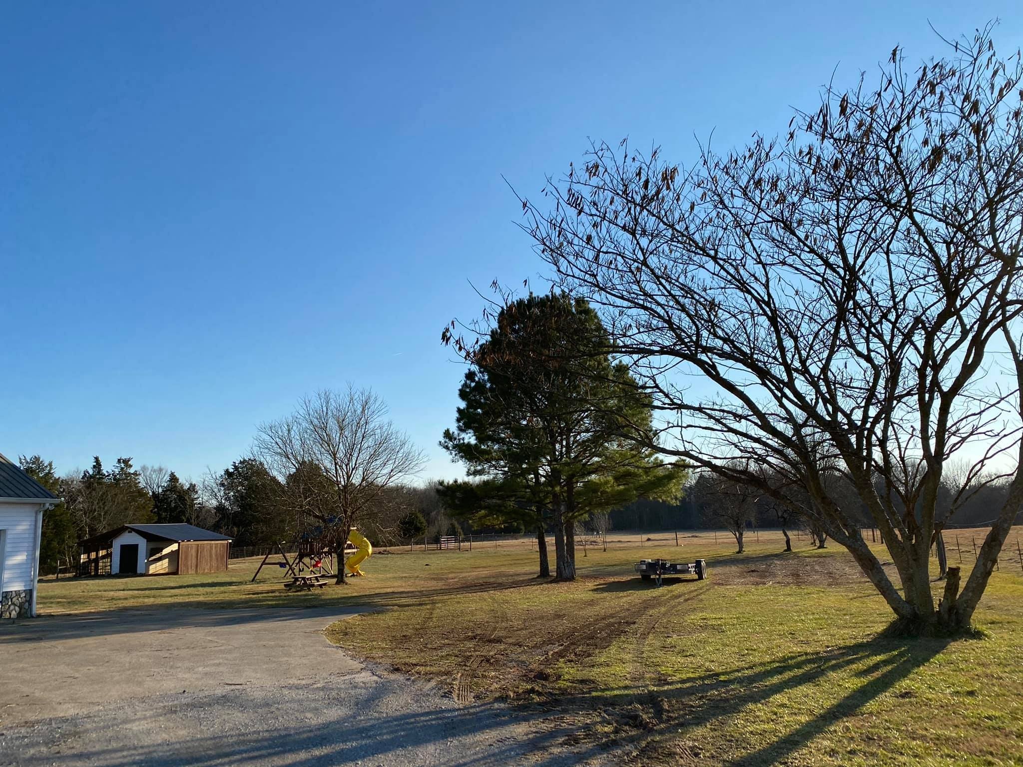 3440 Vesta Road Lebanon, TN 37090 - Photo 35 of 37 a view of a yard
