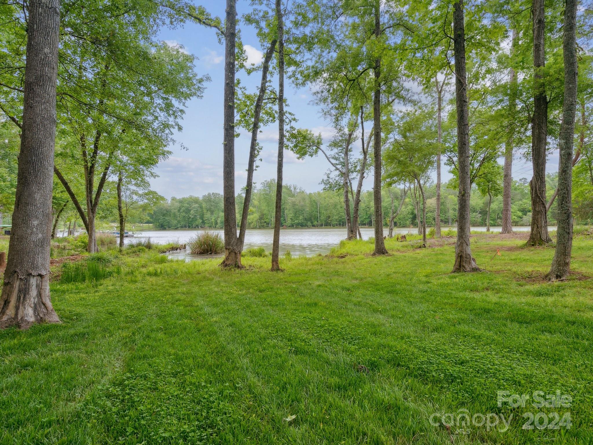 30123 Turtle Point Court Lancaster, SC 29720 - Photo 3 of 31 Gallery Image 3