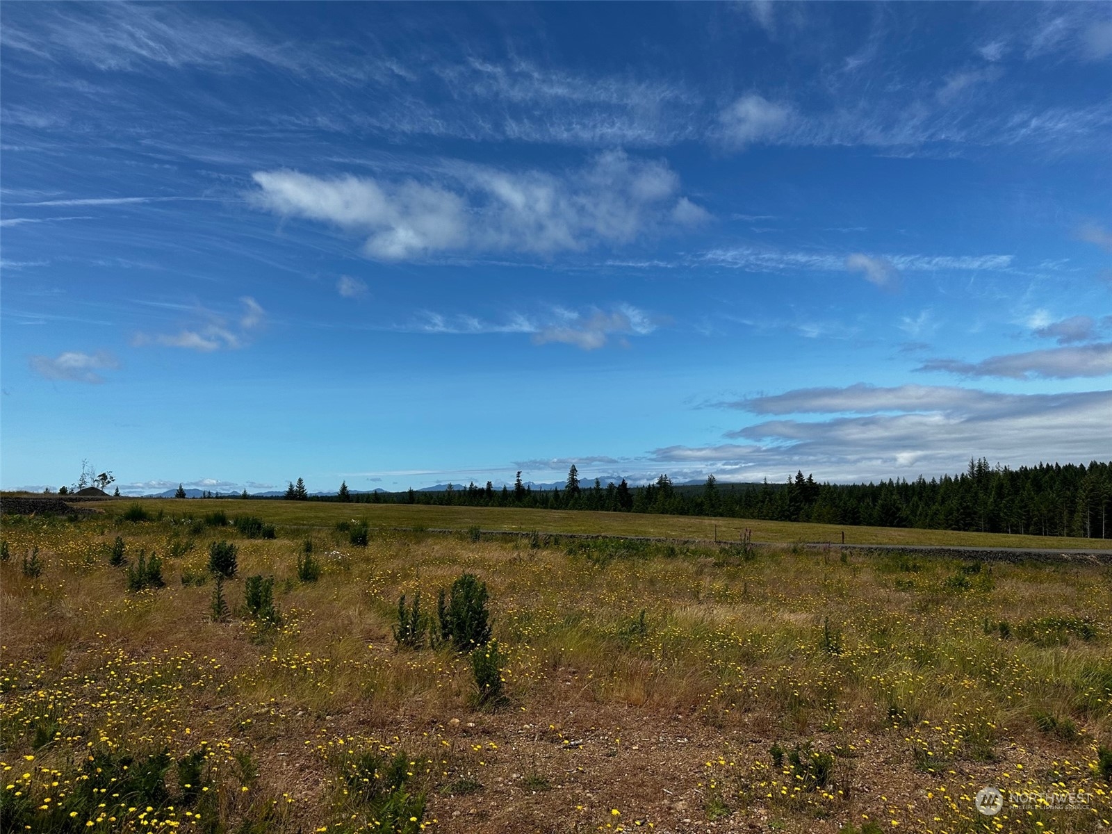 720 East Benson Ridge Road Grapeview, WA 98546 - Photo 5 of 9 Gallery Image 5
