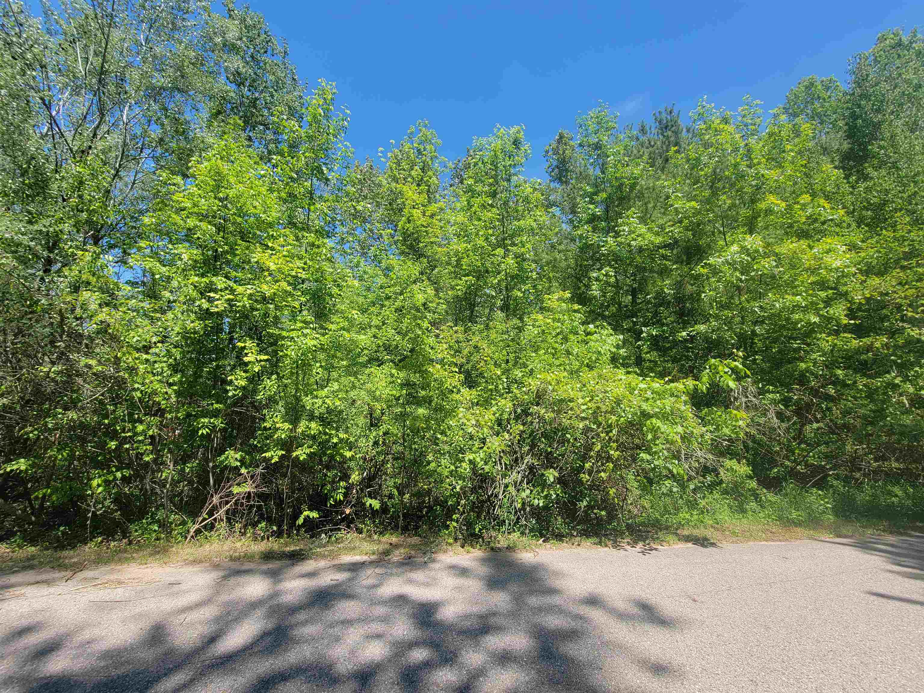 Vl Maple Street Gladwin, MI 48624 - Photo 1 of 6