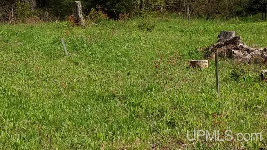 Tbd Boundary Road Chassell, MI 49931 - Photo 4 of 15