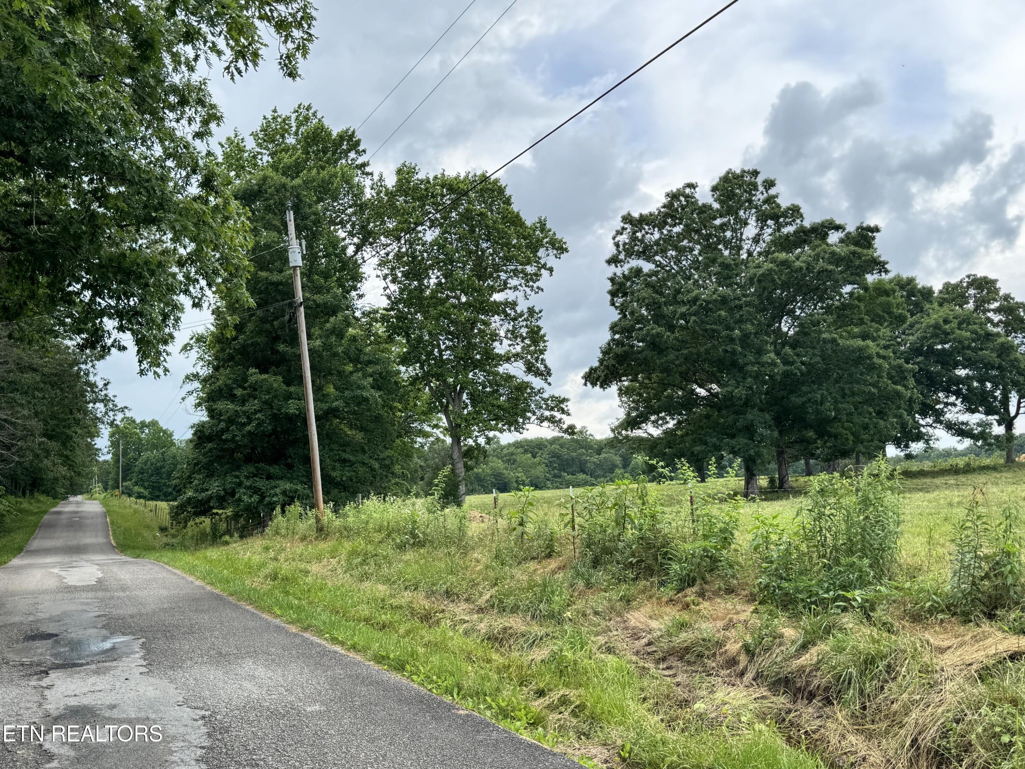 0 Old Bean Shed Road Clarkrange, TN 38553 - Photo 3 of 20 Gallery Image 3