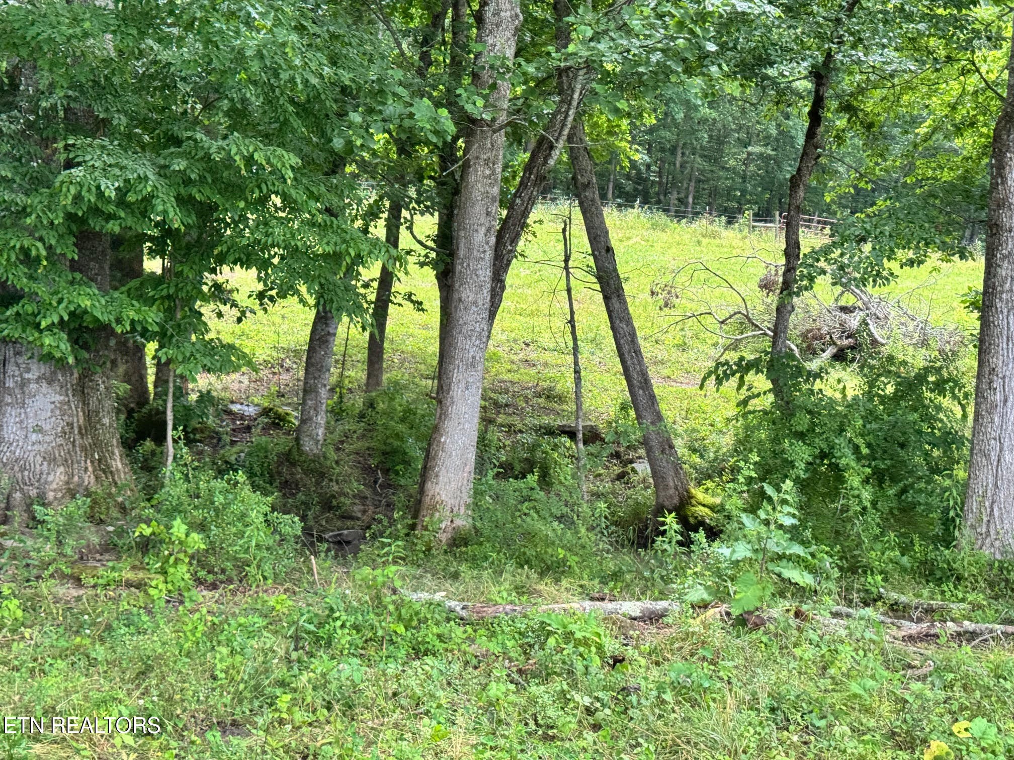 0 Old Bean Shed Road Clarkrange, TN 38553 - Photo 8 of 20 Gallery Image 8