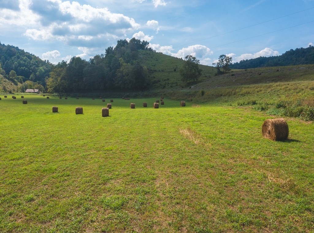 215 Ed Hollow Road Eidson, TN 37731 - Photo 32 of 60 Gallery Image 32