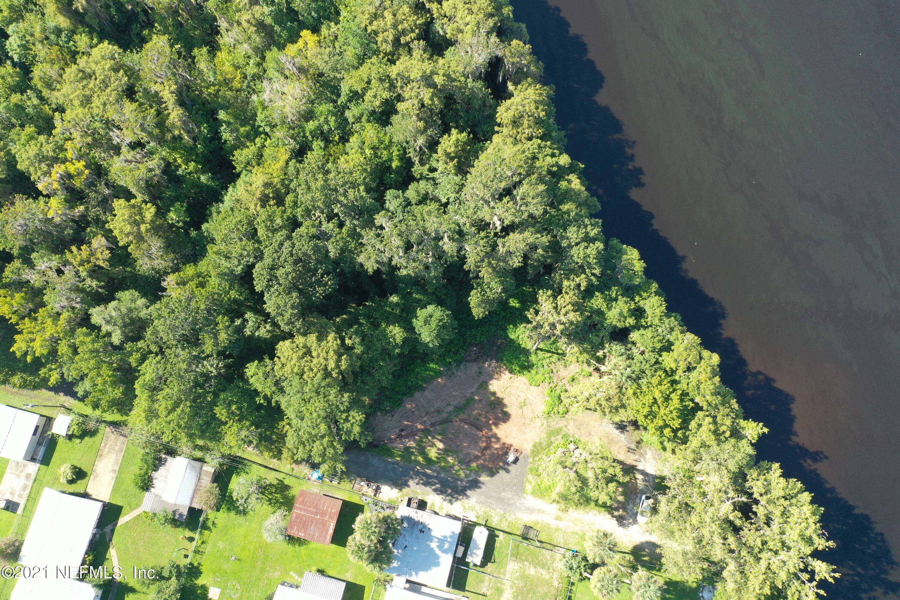 0 Wooten Rd Crescent Crescent City, FL 32112 - Photo 7 of 26 a plant that is in a garden