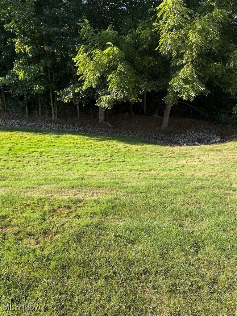 6695 Clingan Road, Unit 24 Youngstown, OH 44514 - Photo 25 of 26 View of grassy yard