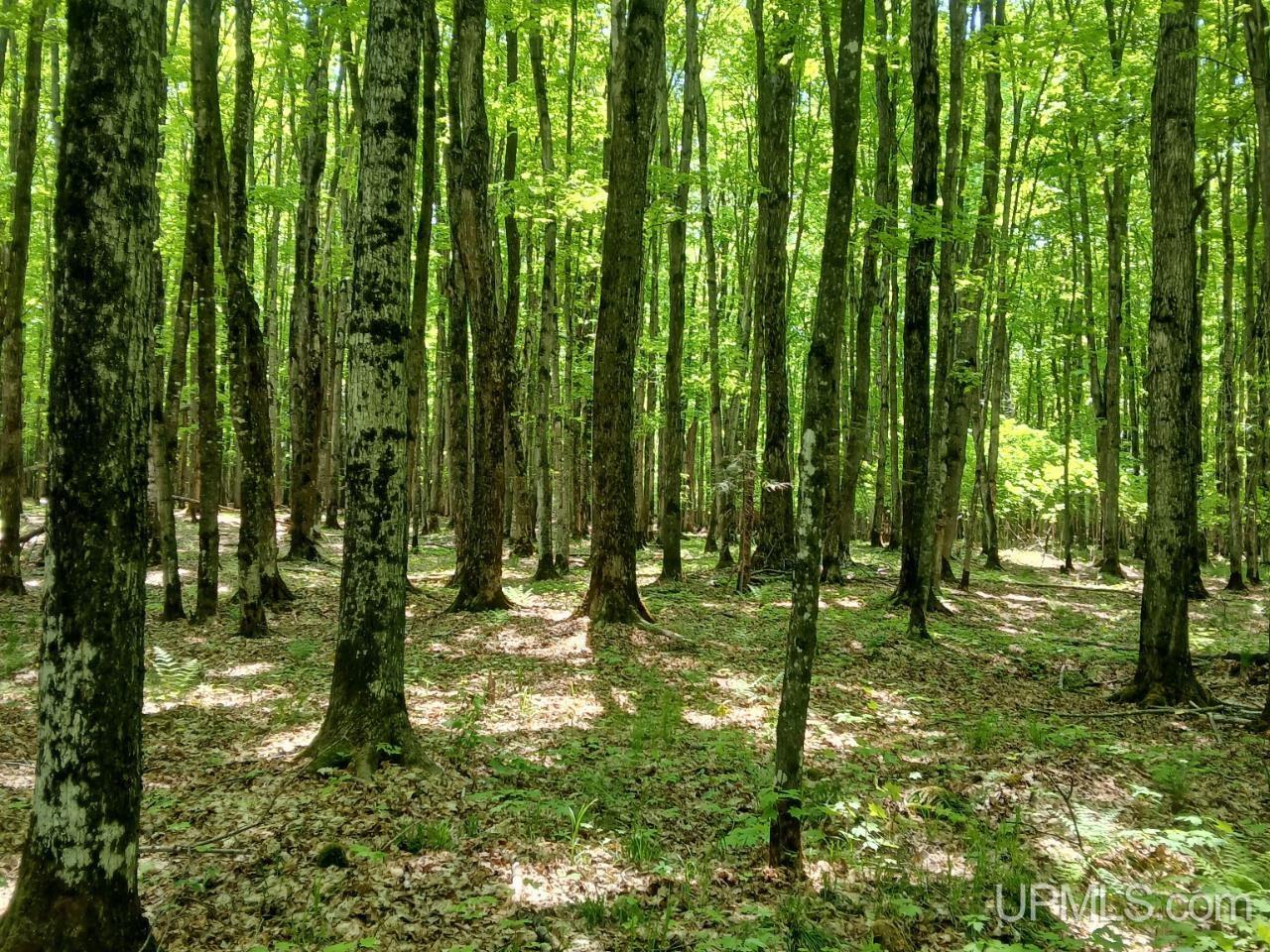 48-acres Cr Kk (huron Mountain Club Rd) Road Big Bay, MI 49808 - Photo 4 of 4