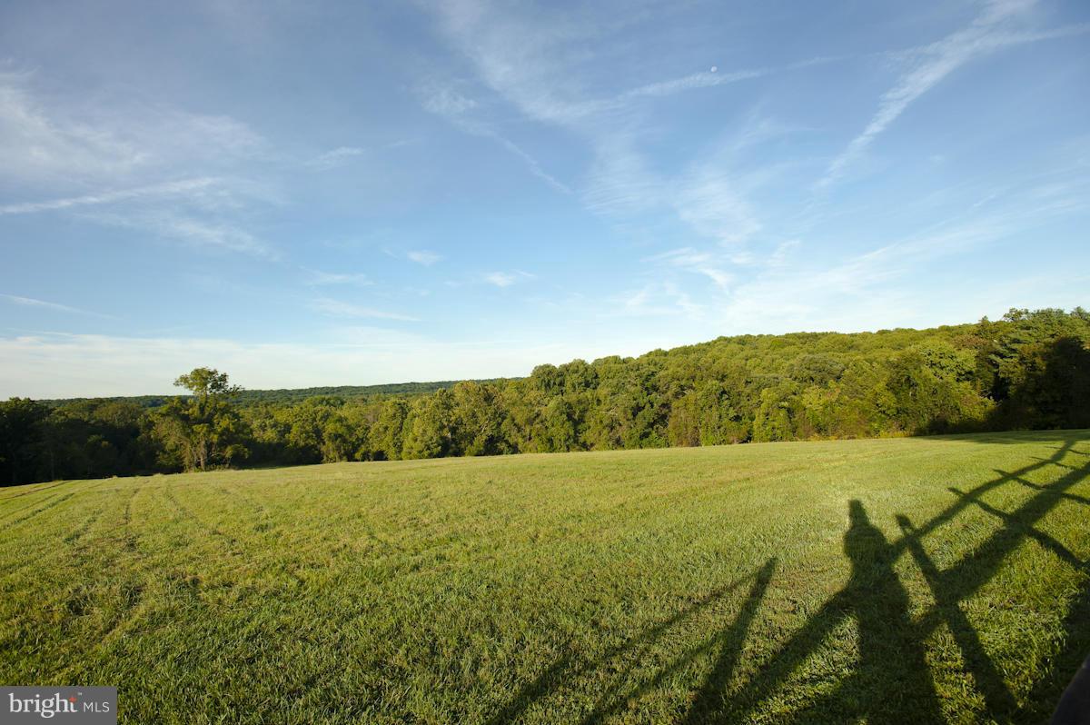12514 Pennyfield Lock Road Potomac, MD 20854 - Photo 1 of 30 Amazing Views!