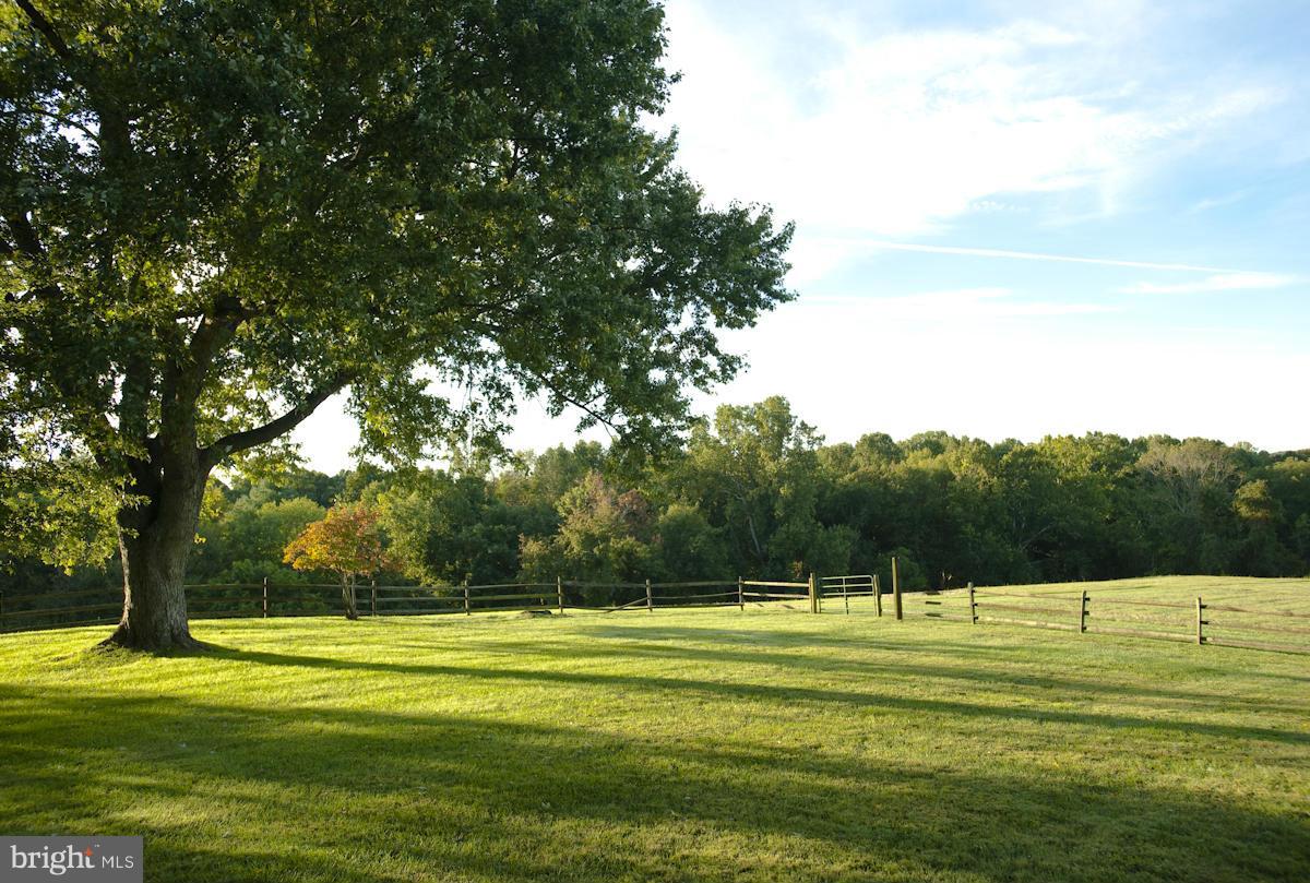 12514 Pennyfield Lock Road Potomac, MD 20854 - Photo 2 of 30 View