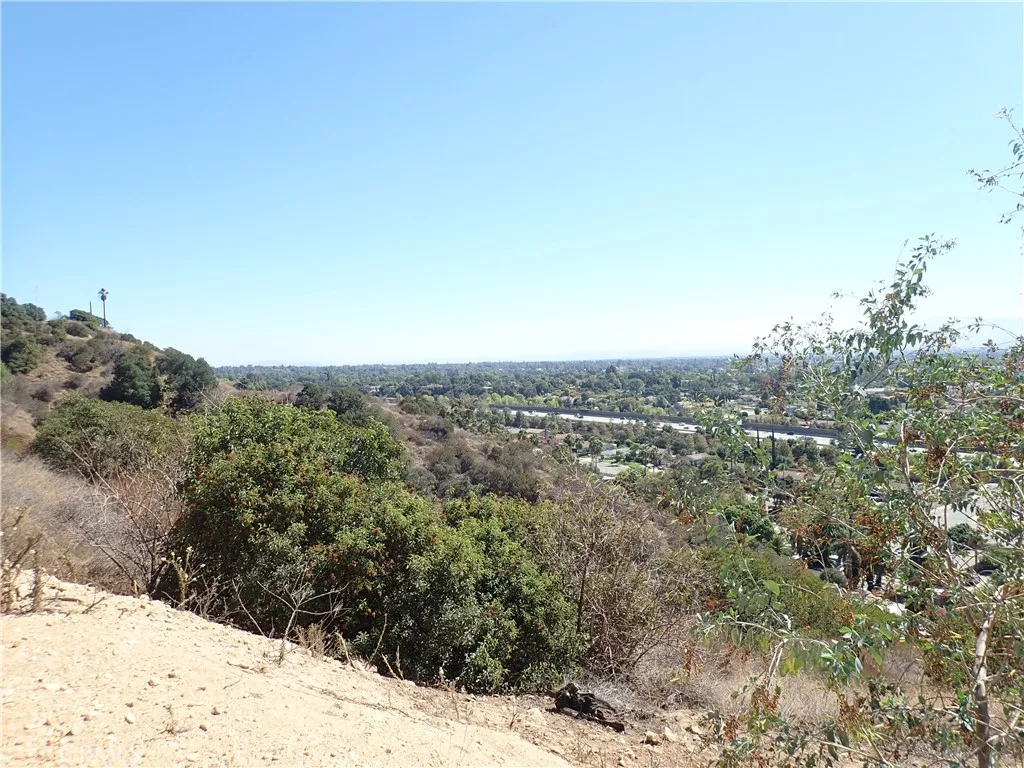 0 Broken Spur Road La Verne, CA 91750 - Photo 14 of 28 a view of a forest with a tree in the background