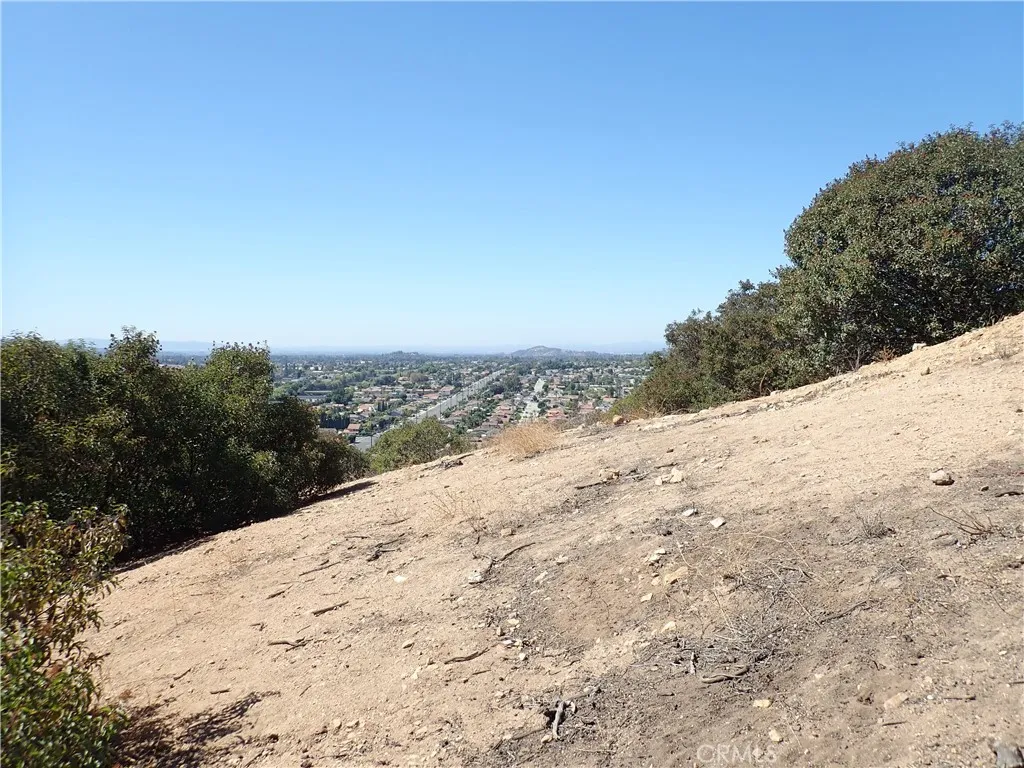 0 Broken Spur Road La Verne, CA 91750 - Photo 20 of 28 a view of a dry yard with a tree