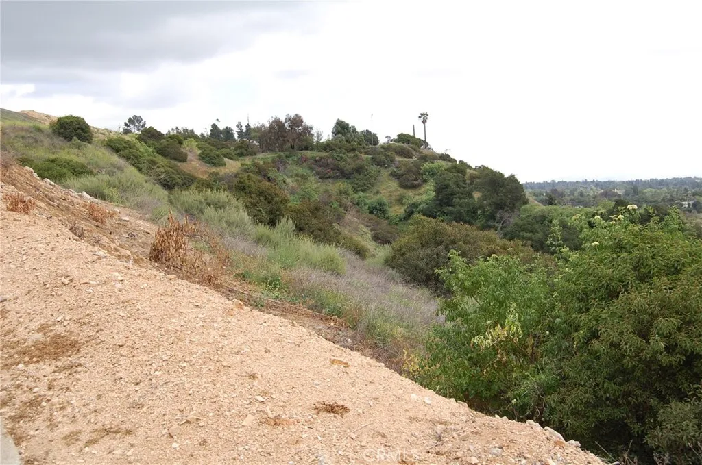 0 Broken Spur Road La Verne, CA 91750 - Photo 6 of 28 a view of a dry yard with trees