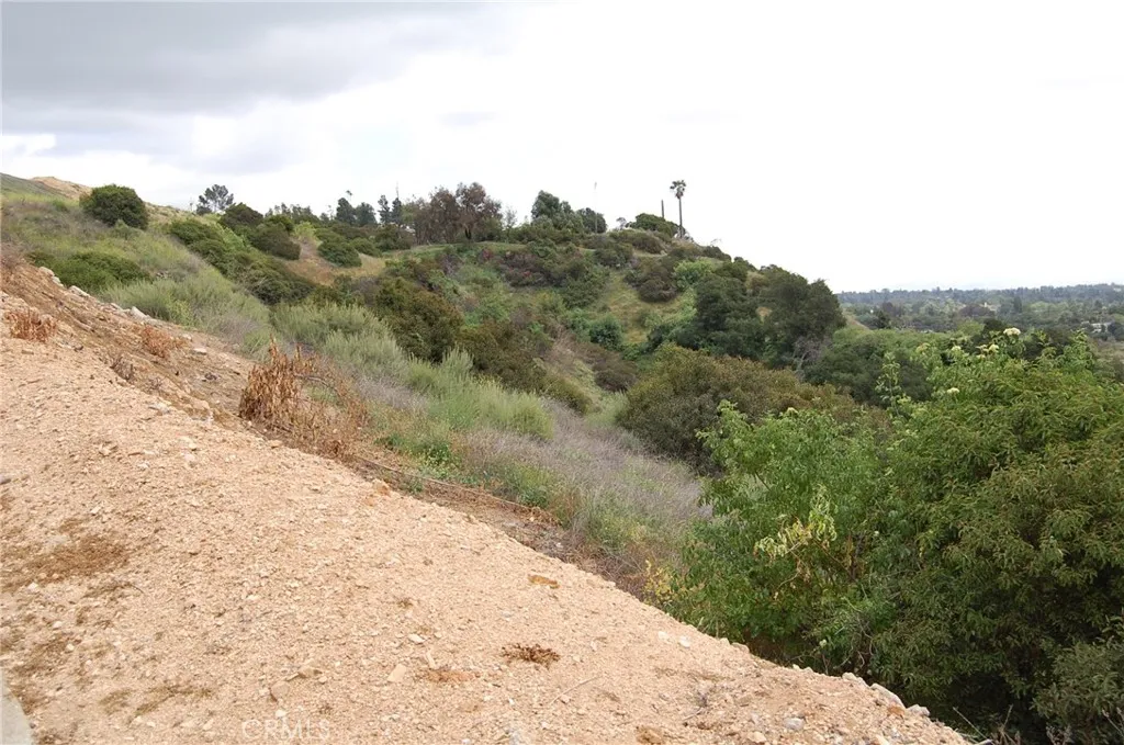 0 Broken Spur Road La Verne, CA 91750 - Photo 8 of 28 a view of a dry yard with trees