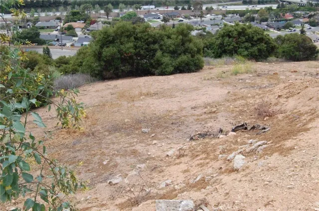 a view of a dry yard with lots of trees