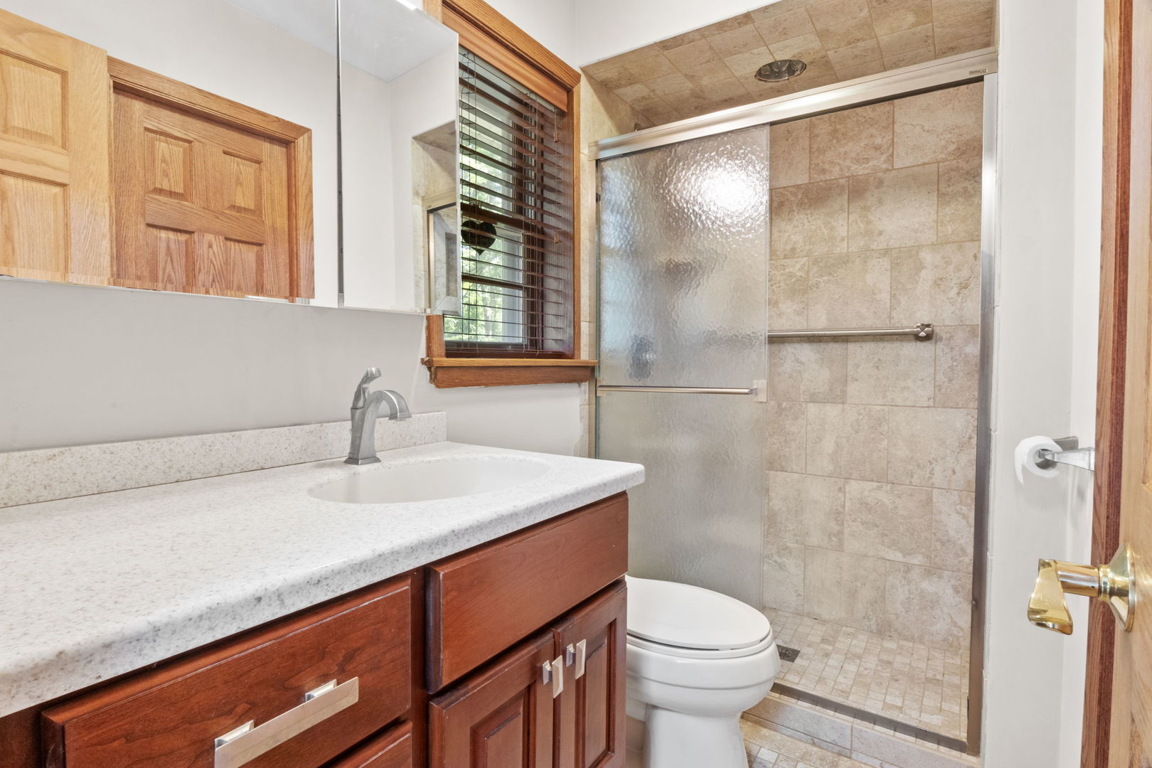 12222 Rambling Road Homer Glen, IL 60491 - Photo 22 of 37 Gallery Image 22