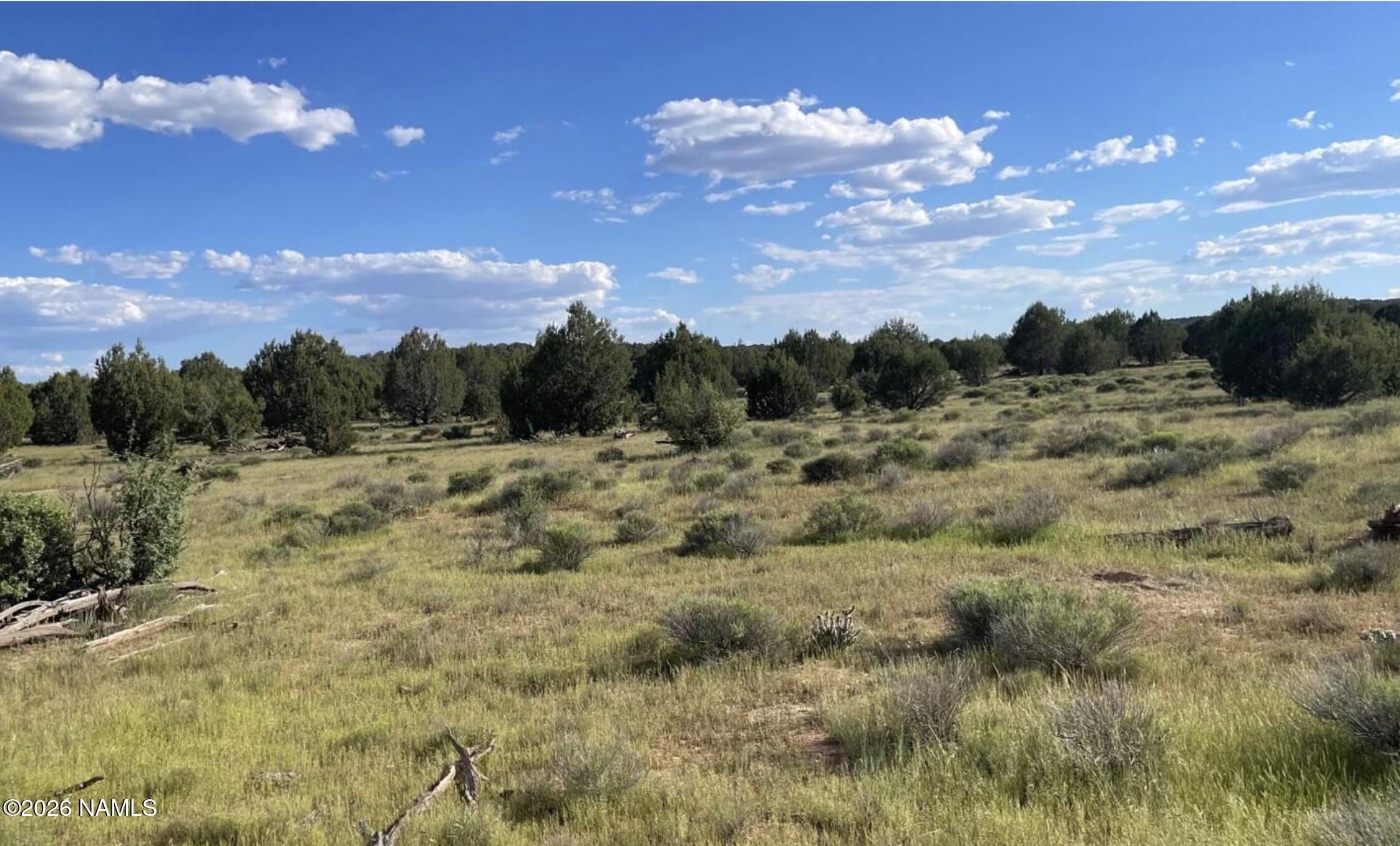 886 Southwest Ranch Road Williams, AZ 86046 - Photo 9 of 10 886 SW Westwood