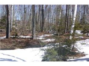 10 Miller Pond Road Grantham, NH 03753 - Photo 8 of 9