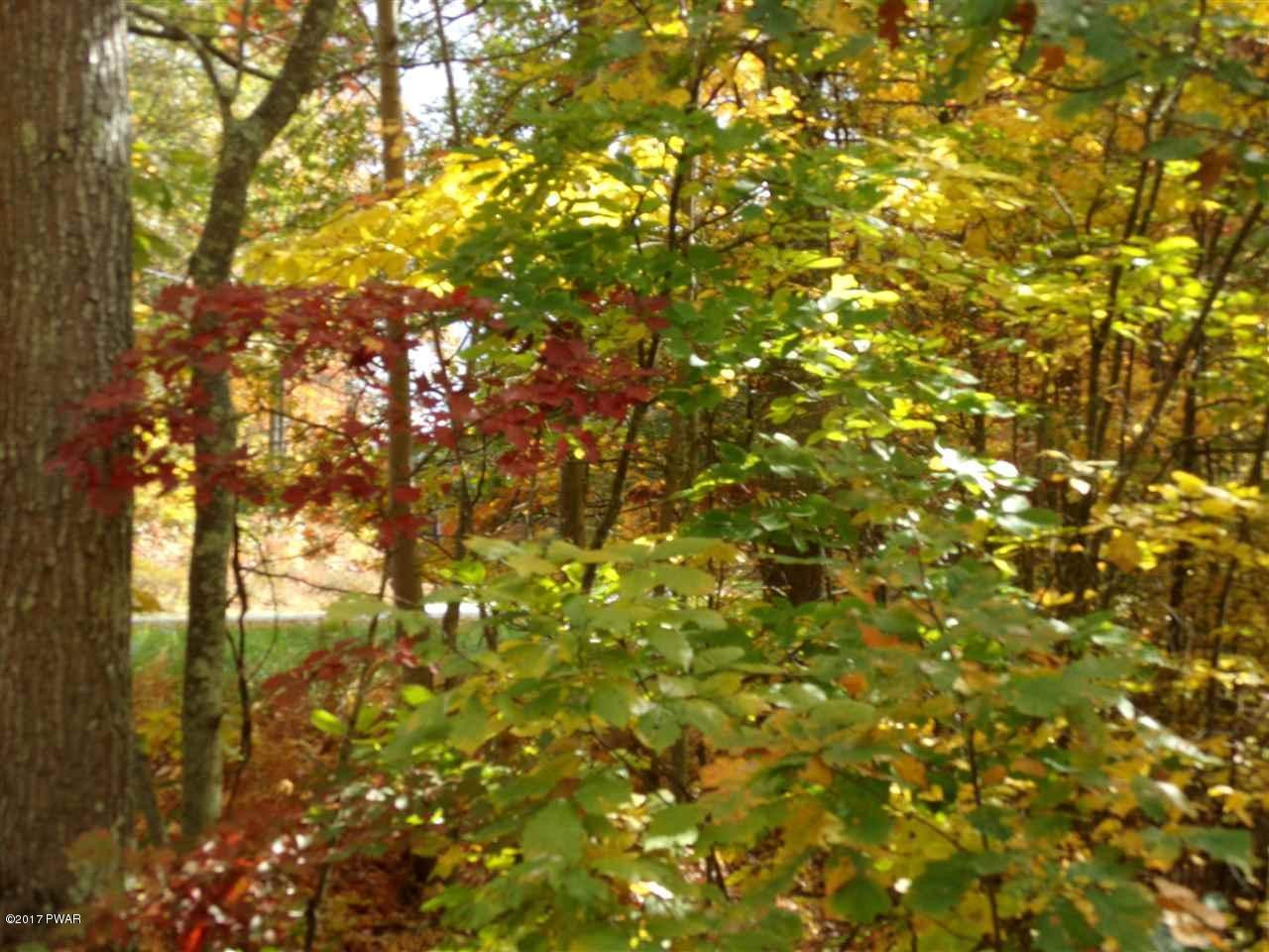 Lot 6.82 Lenni Lenape Road Narrowsburg, NY 12764 - Photo 6 of 17