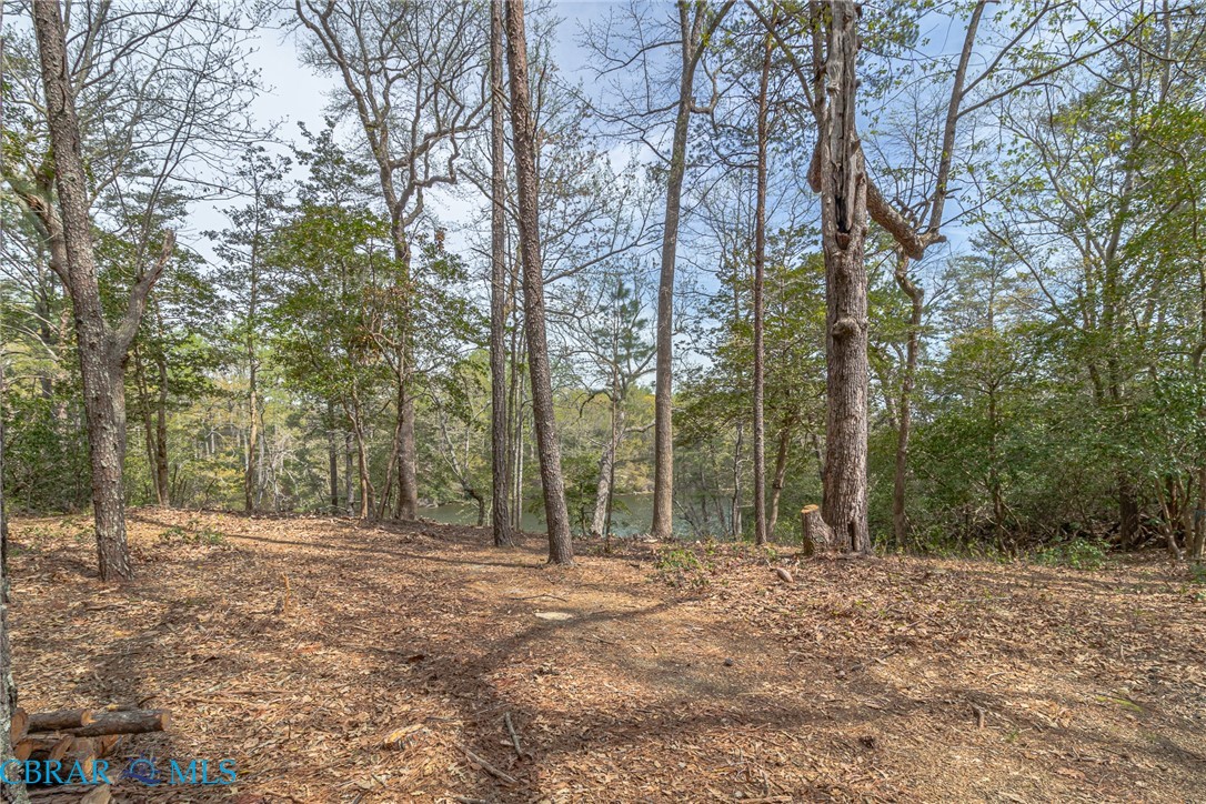 Lot 188 Ottoman Ferry Road Lancaster, VA 22503 - Photo 3 of 17