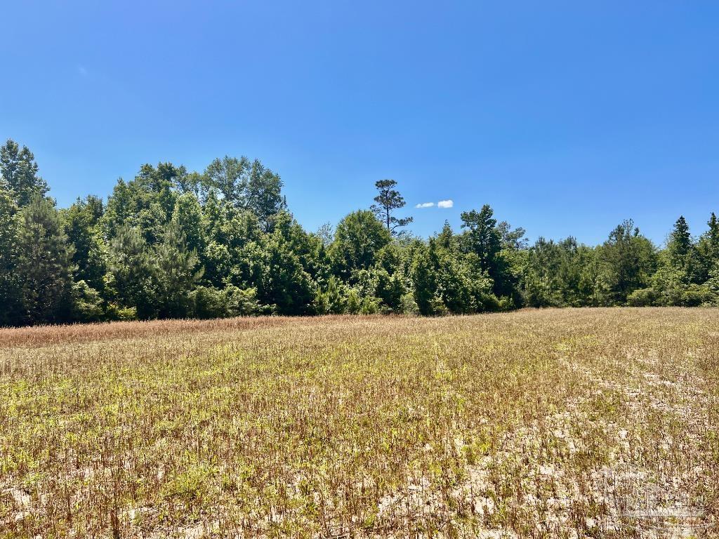 Lot 48-to Mineral Springs Road Jay, FL 32565 - Photo 11 of 38 a view of an outdoor space and a yard