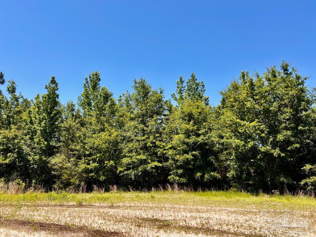 Lot 48-to Mineral Springs Road Jay, FL 32565 - Photo 14 of 38 a view of a yard