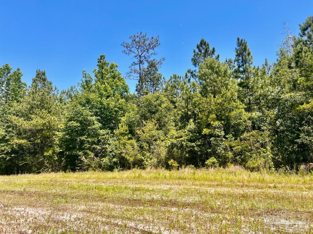 Lot 48-to Mineral Springs Road Jay, FL 32565 - Photo 17 of 38 a view of ocean view