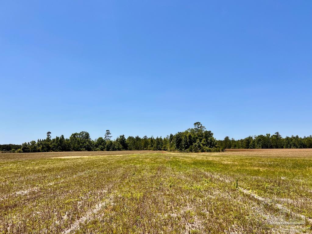 Lot 48-to Mineral Springs Road Jay, FL 32565 - Photo 18 of 38 a view of an ocean and beach