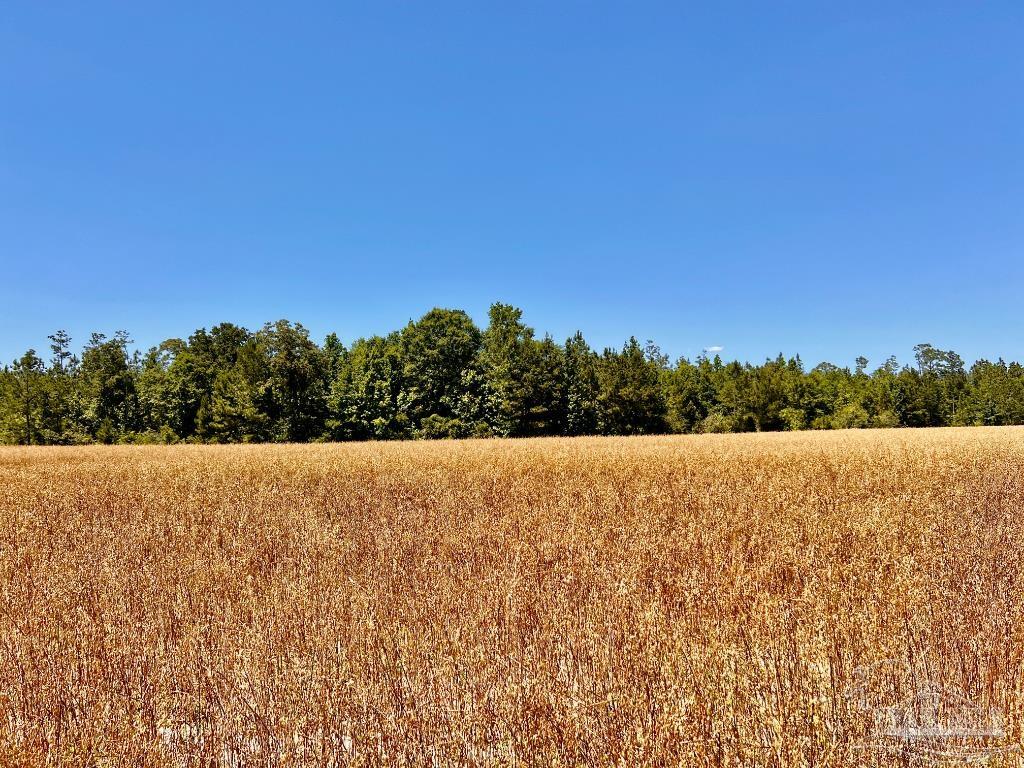 Lot 48-to Mineral Springs Road Jay, FL 32565 - Photo 27 of 38 a view of an outdoor space and a yard