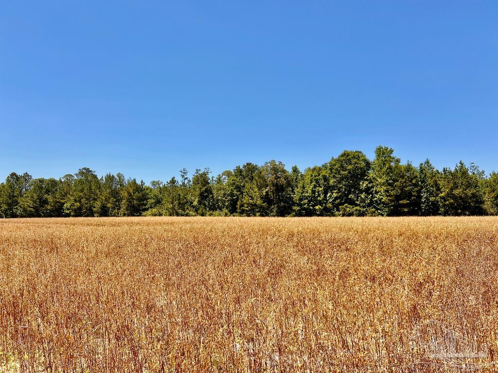 Lot 48-to Mineral Springs Road Jay, FL 32565 - Photo 28 of 38 a view of an ocean beach