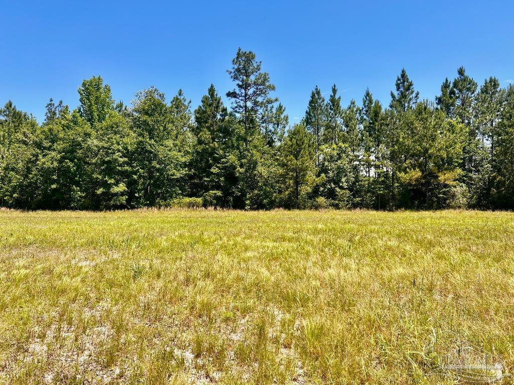 Lot 48-to Mineral Springs Road Jay, FL 32565 - Photo 3 of 38 a view of yard with swimming pool and trees in the background