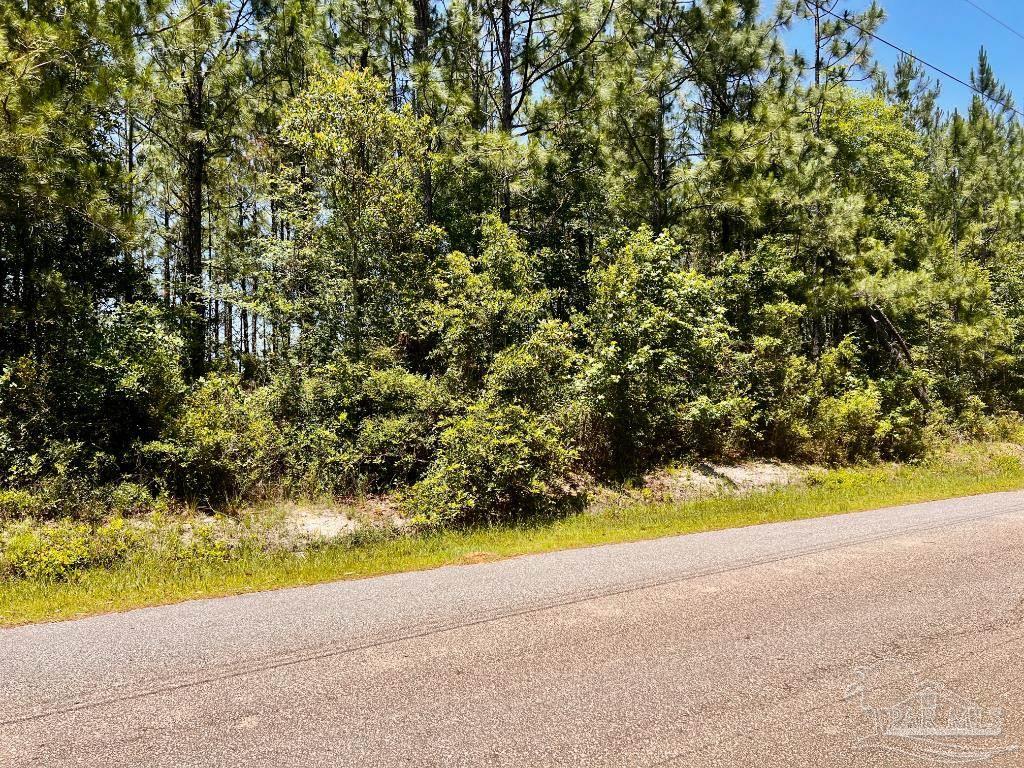 Lot 48-to Mineral Springs Road Jay, FL 32565 - Photo 5 of 38 a view of a yard with a tree