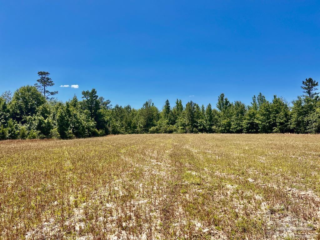 Lot 48-to Mineral Springs Road Jay, FL 32565 - Photo 10 of 38 a view of a field with trees in the background