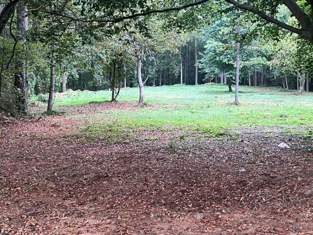 a backyard of a house with lots of green space