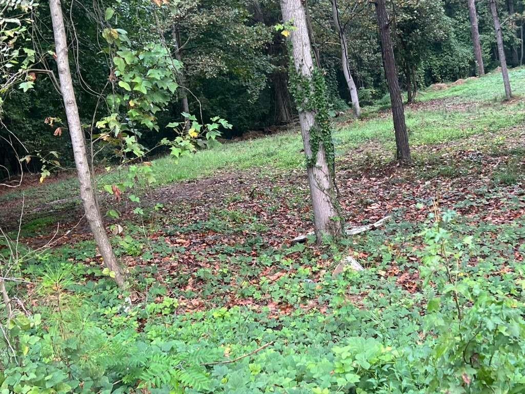 5160 Covington Highway Decatur, GA 30035 - Photo 4 of 7 a view of a garden with trees