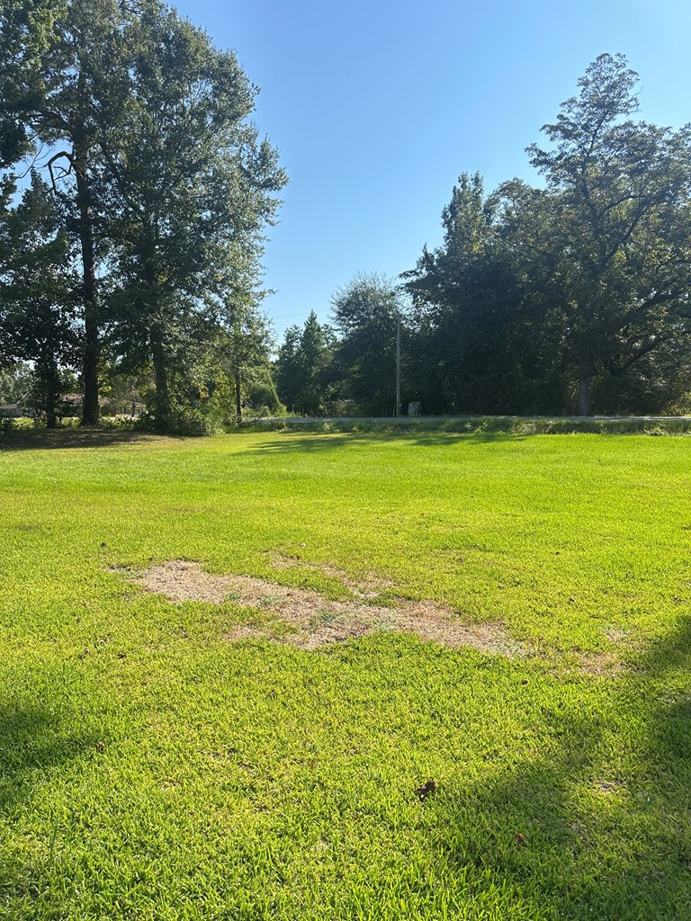 3310 Sowell Road Brewton, AL 36426 - Photo 28 of 28