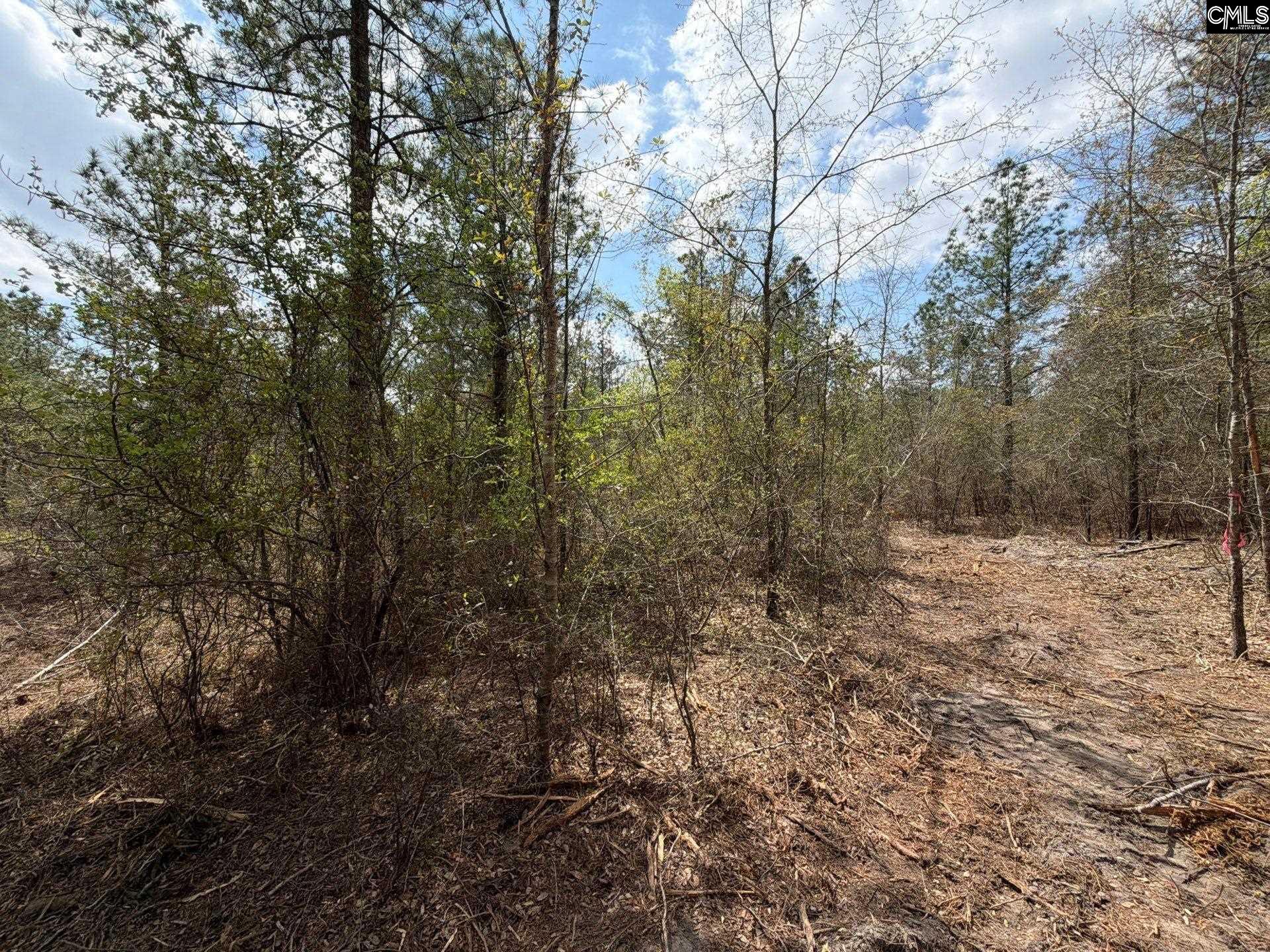4 Mt Calvary Rd Ridge Spring Ridge Spring, SC 29129 - Photo 35 of 40