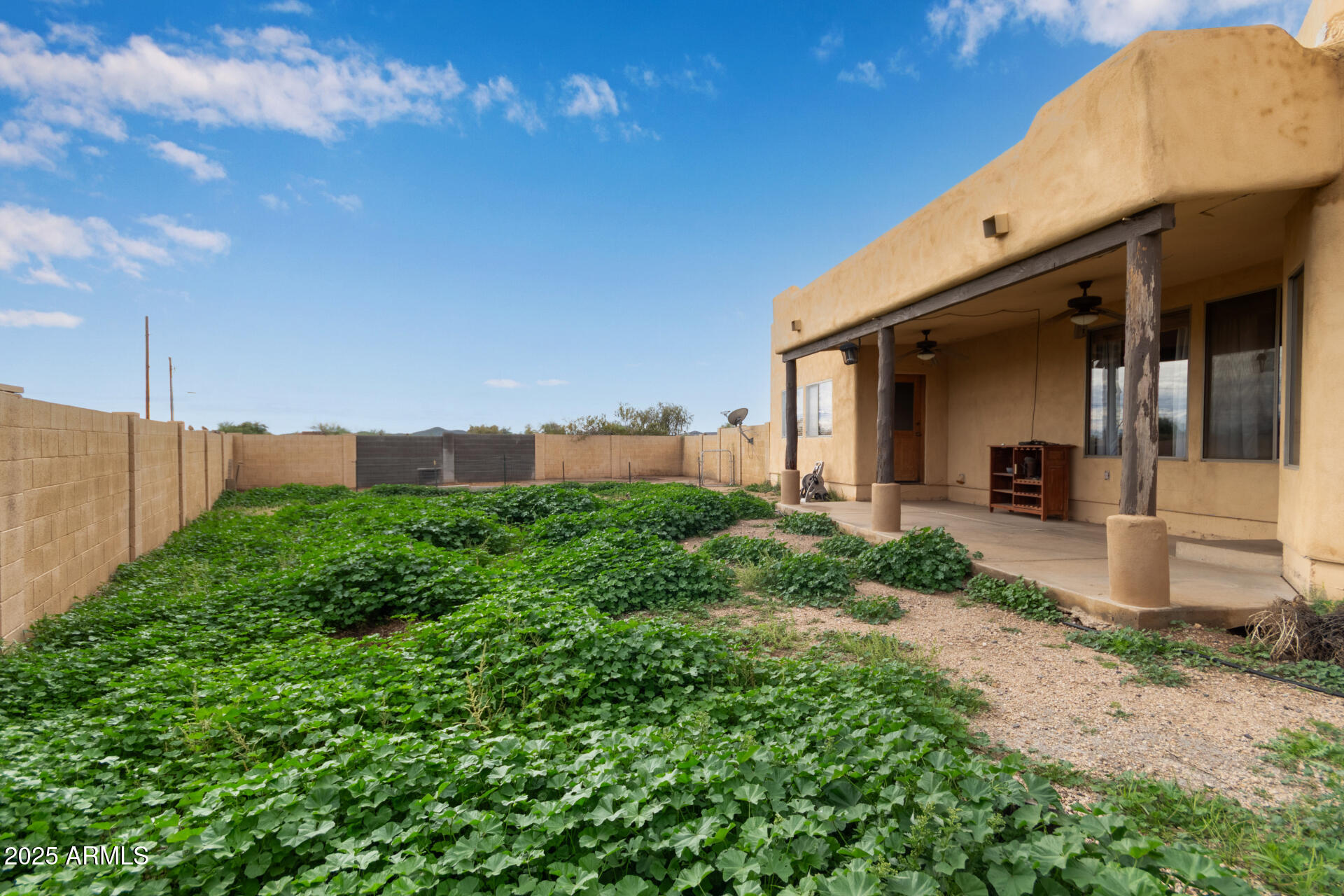 1032 East Carlise Road Phoenix, AZ 85086 - Photo 36 of 56 a front view of a house with garden